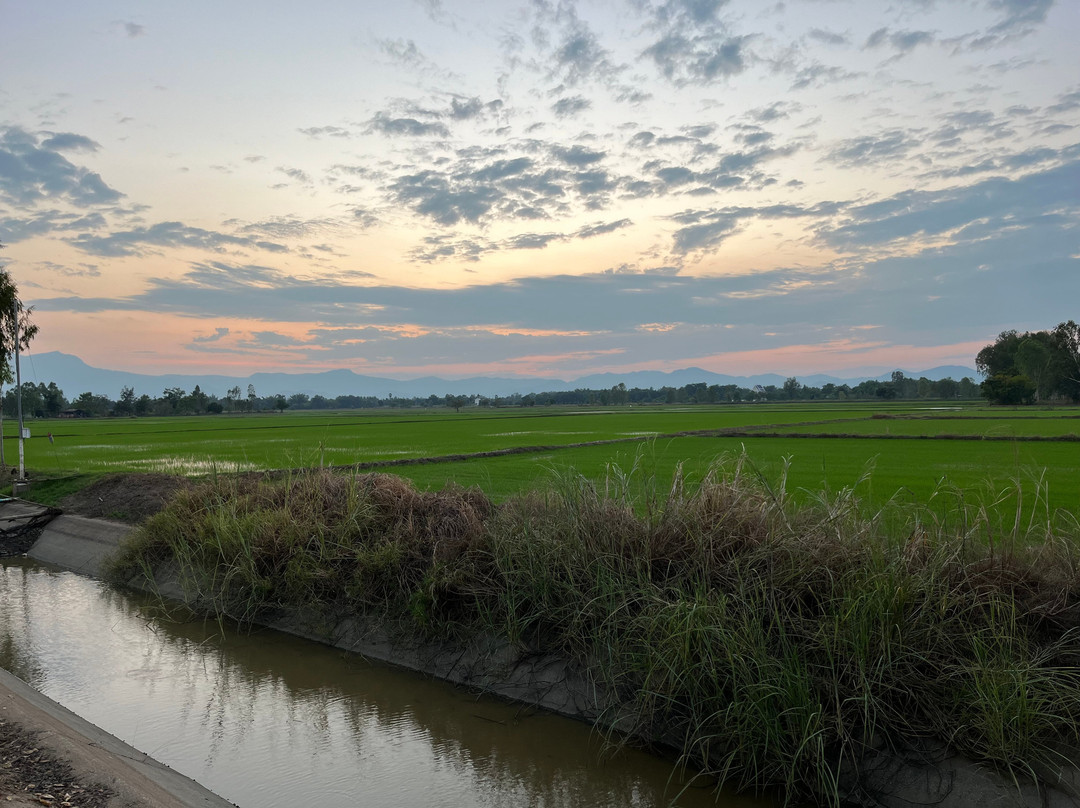 Sukhothai Bicycle Tour景点图片