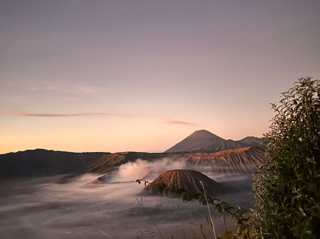 Safarimate Tour-泗水必去景点