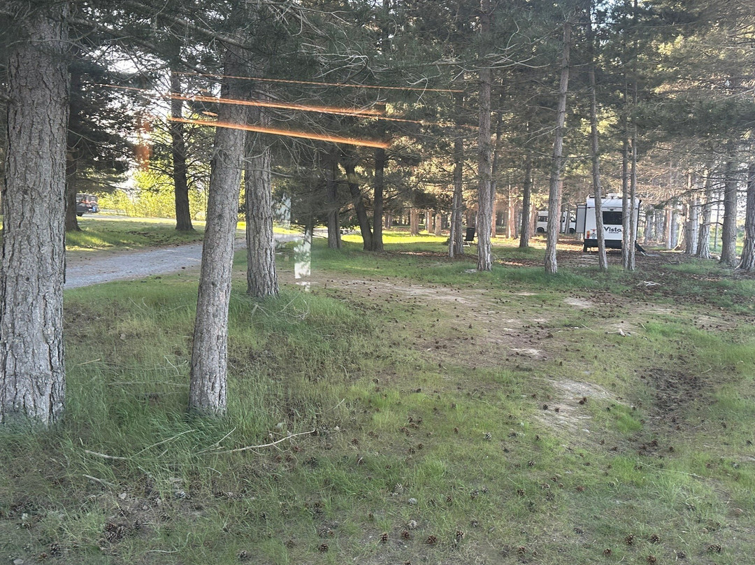 Lake Wardell Free Campground