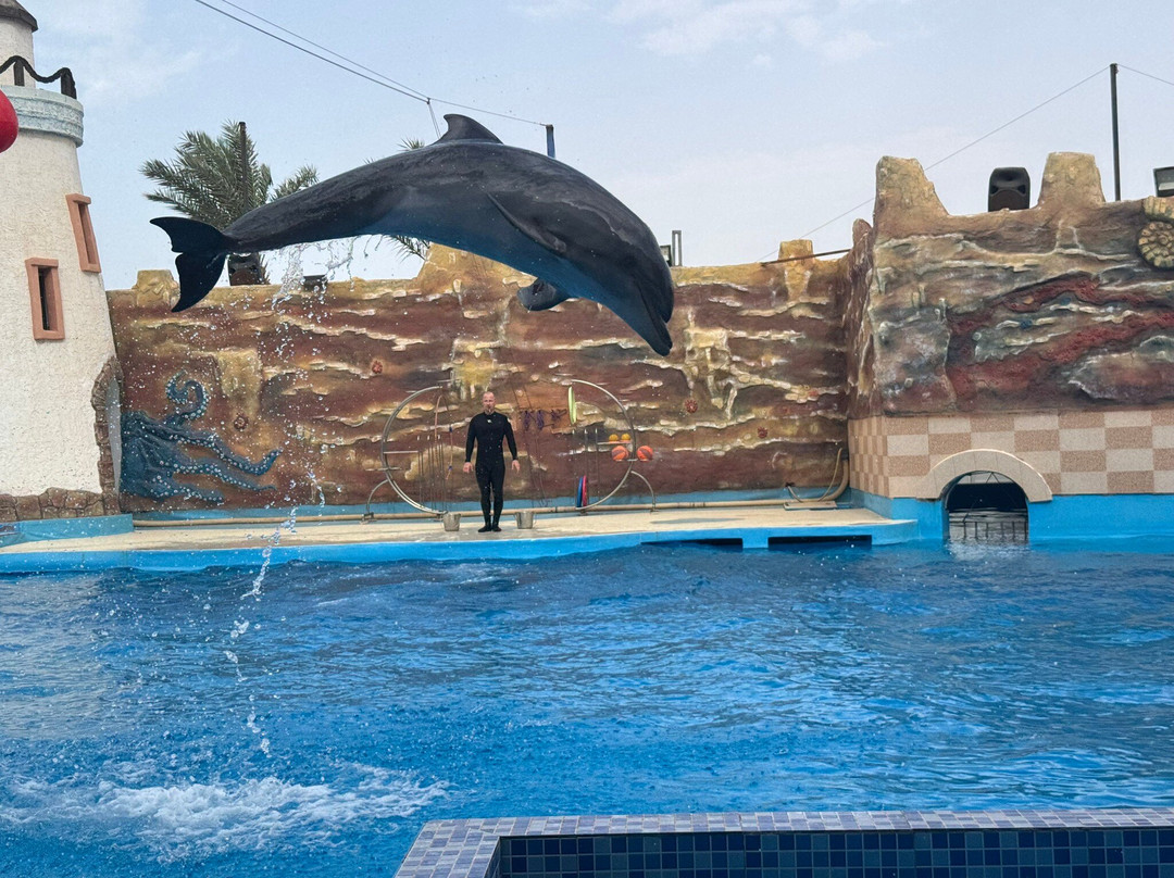 Agadir Dolphin World-阿加迪尔必去景点