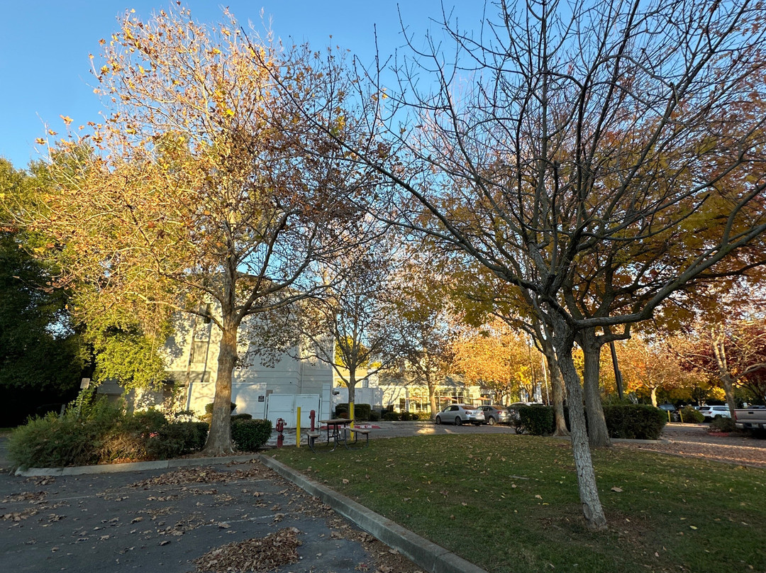 Hilton Garden Inn Sacramento/South Natomas主图