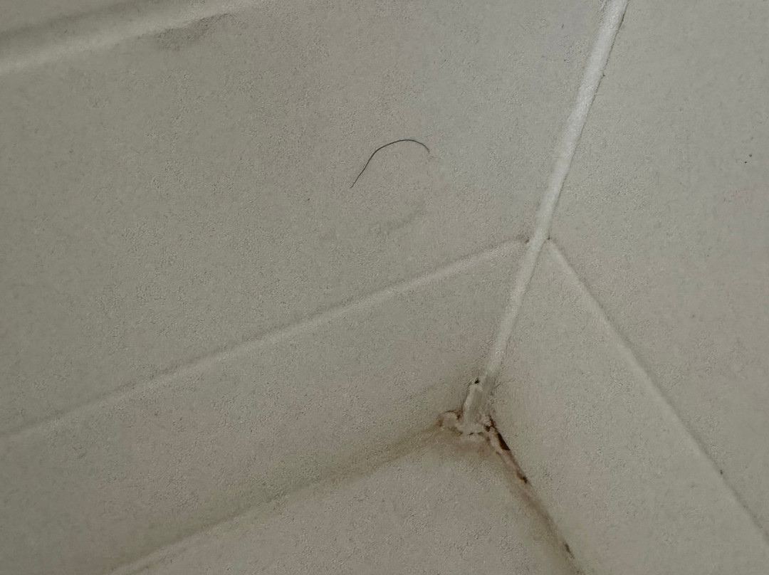 Best Western Milton Inn主图