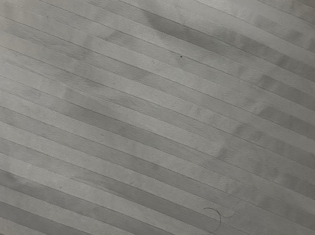 Best Western Milton Inn主图