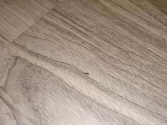 卡特雷拉威假日酒店主图