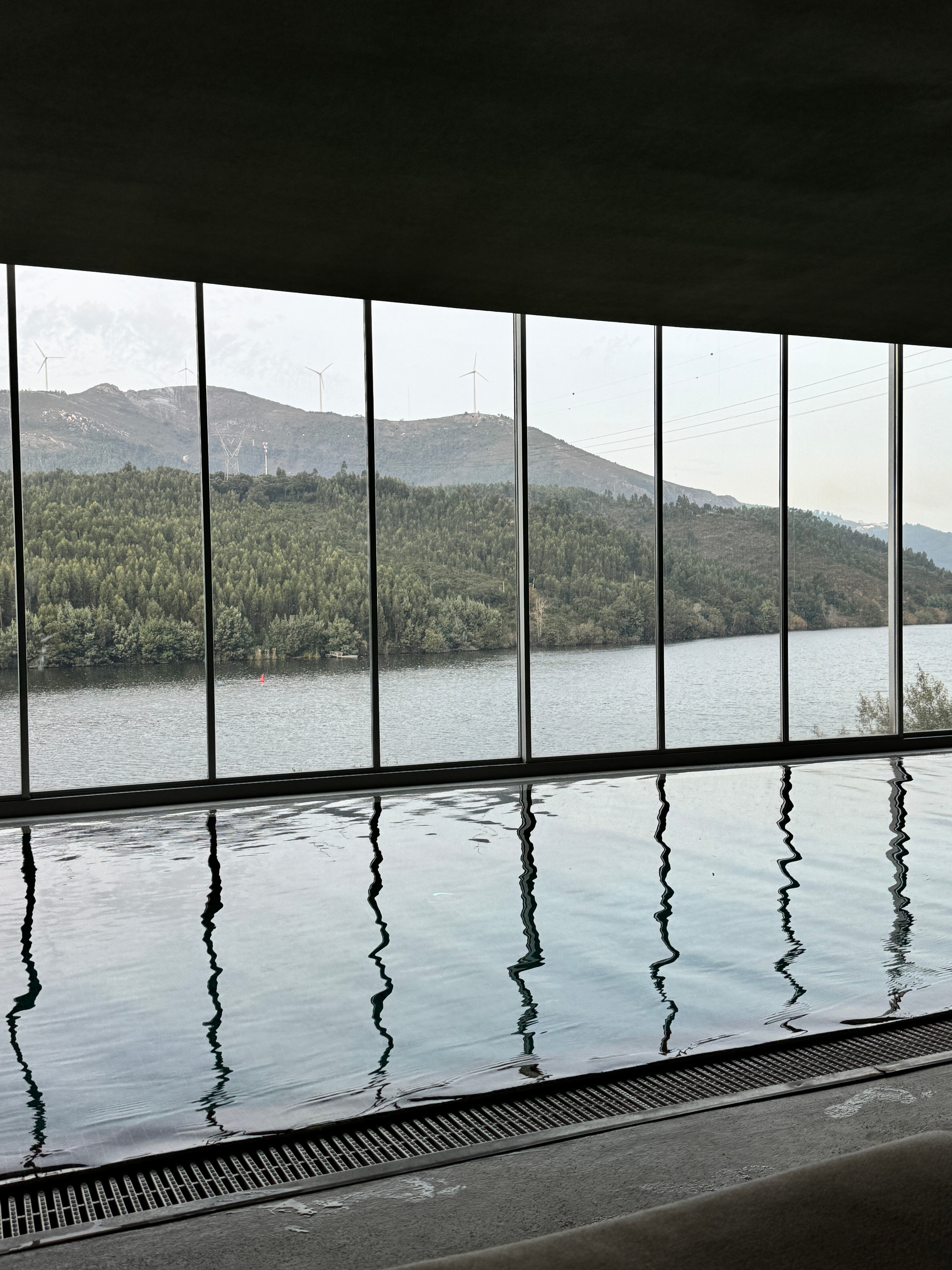 Octant Hotels Douro-泳池