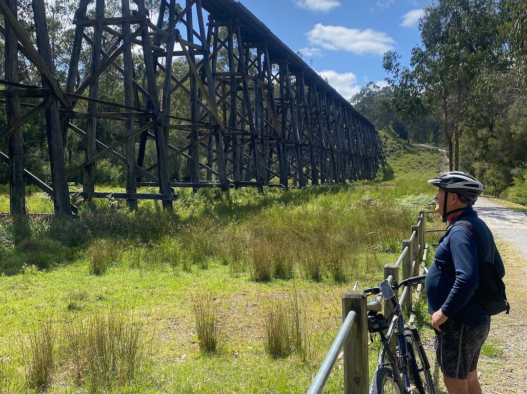 Snowy River Cycling Rail Trail Tours景点图片