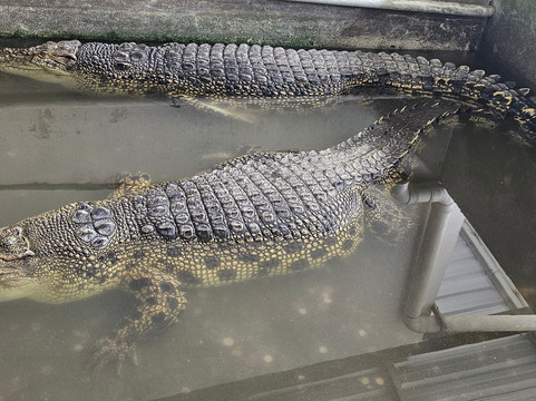 Yun Fook Trading (kolam Ikan)