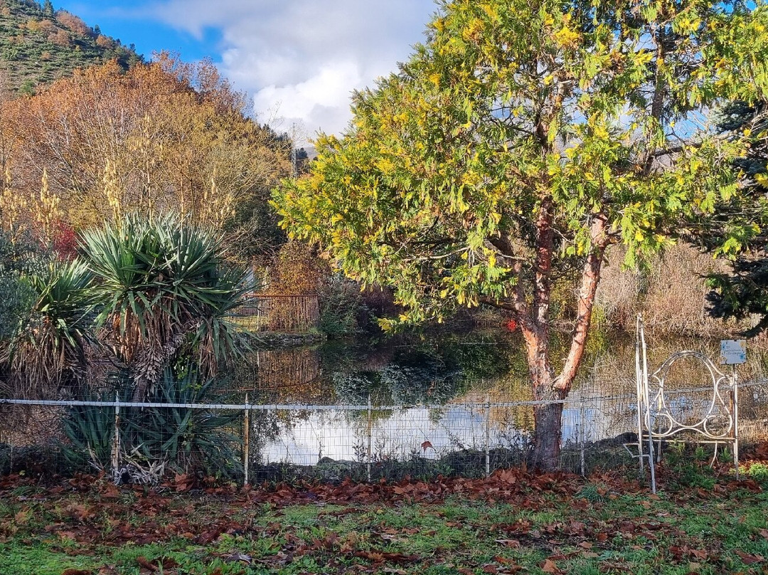 Locanda Dell'Asino D'Oro主图