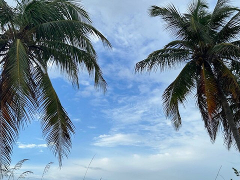 Eaton Bikes-基韦斯特必去景点