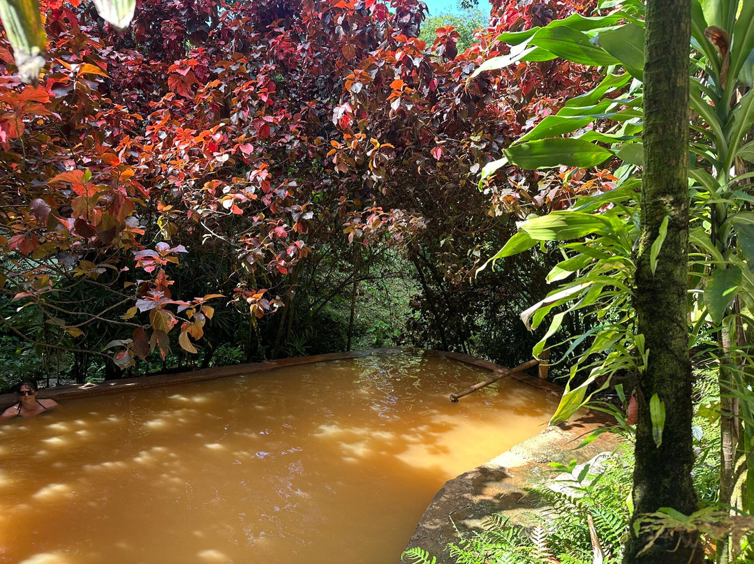 Wotten Waven Sulphur Springs