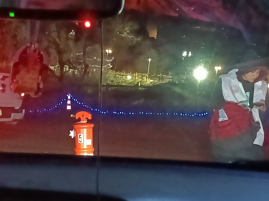 Christmas In Color-Morrison必去景点