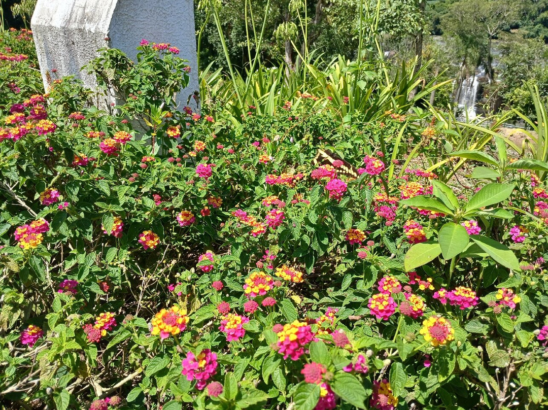 Cachoeira De Salto Saudades-Quilombo必去景点