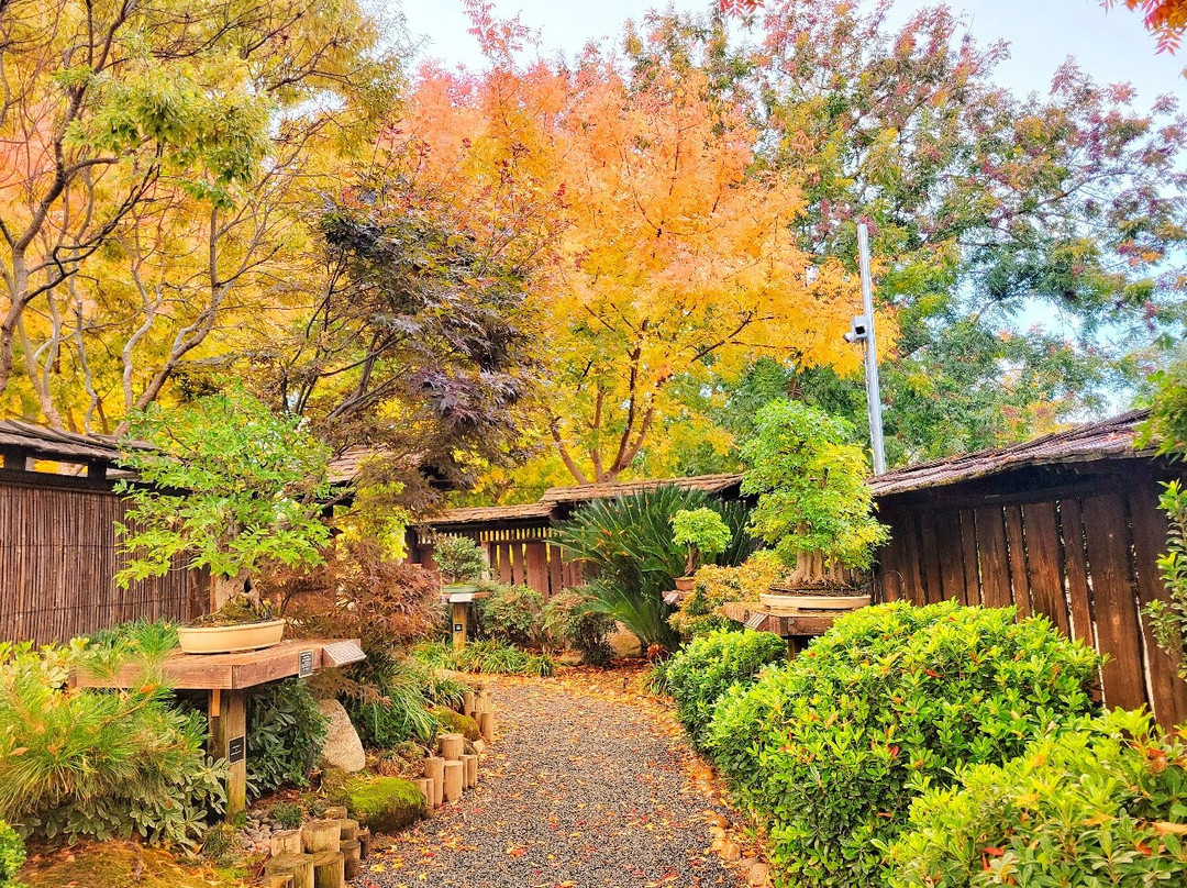 Clark Bonsai Museum-弗雷斯诺必去景点