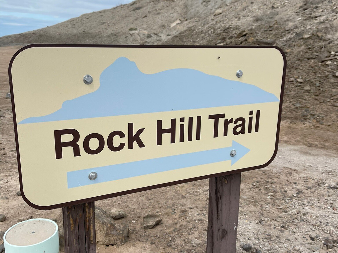 Sonny Bono National Wildlife Reserve-Calipatria必去景点