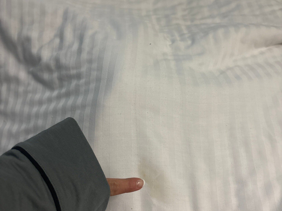 Hotel Casa Inn Premium Queretaro主图