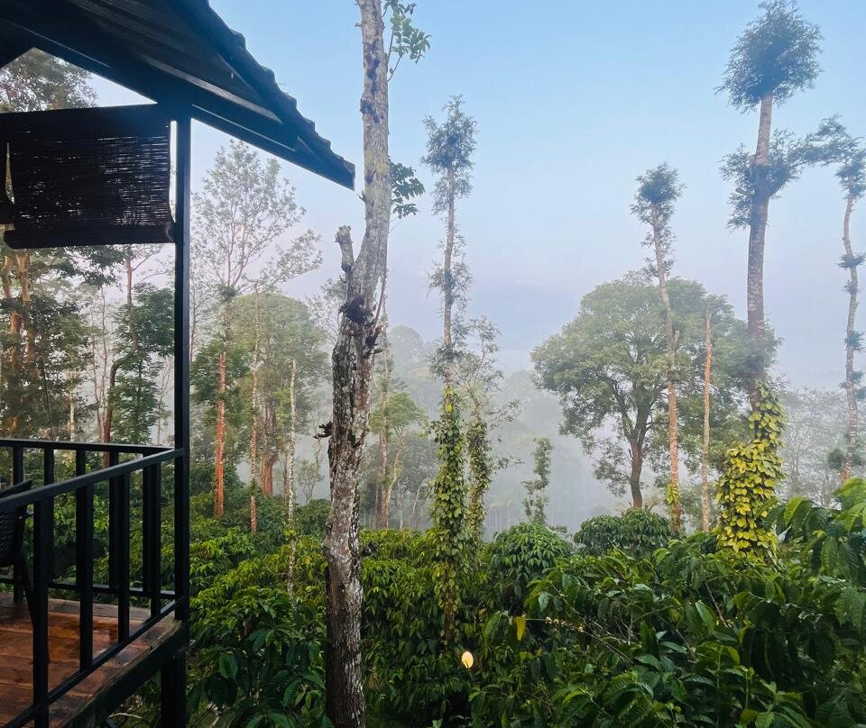 Coffee County Resort主图