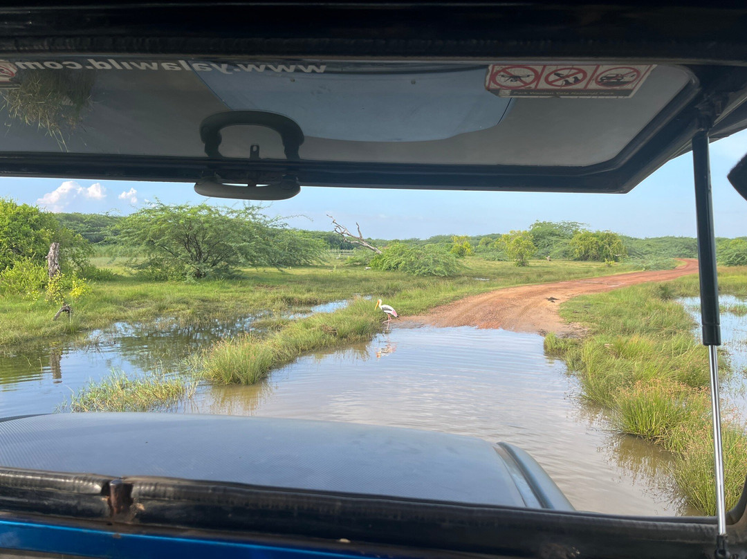 Ajith吉普车游猎之旅-蒂瑟默哈拉默必去景点