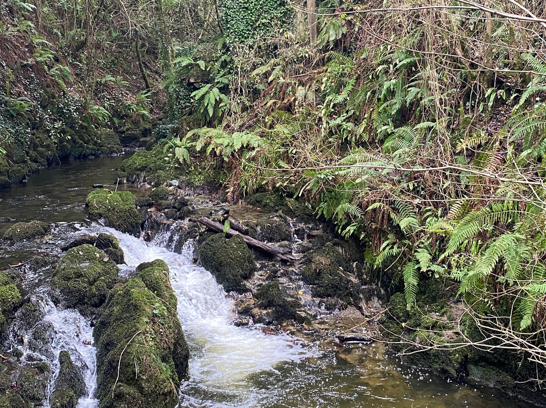 Dun A Ri Forest Park-Kingscourt必去景点