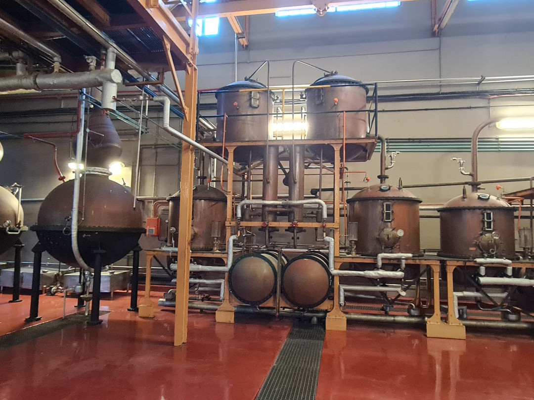 Van Ryn's Distillery and Brandy Cellar-斯泰伦博斯必去景点