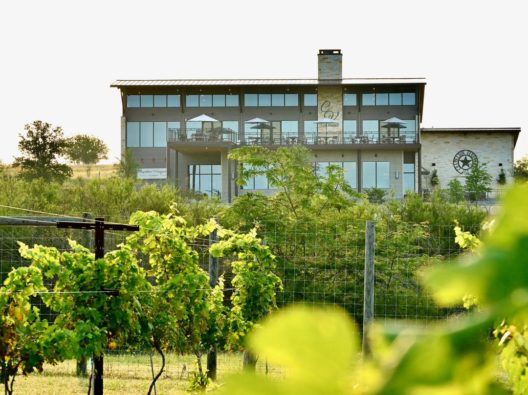 Chapelton Vineyards景点图片