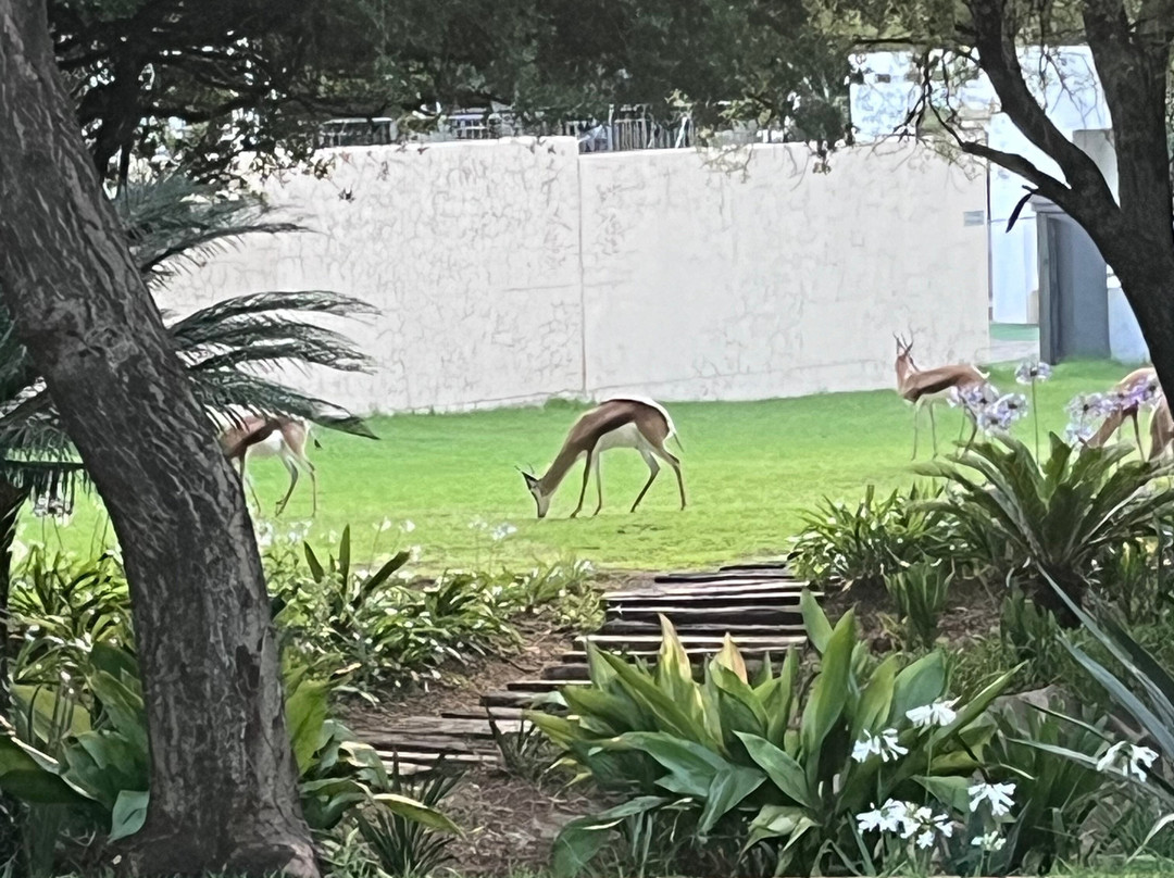 Tredenham Boutique Hotel主图