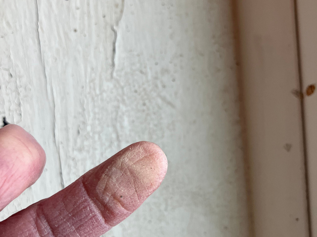 Lafayette Hotel主图