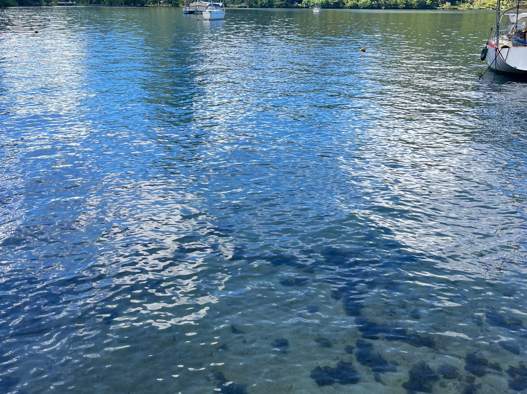 Moorea Underwater Experience-Temae必去景点