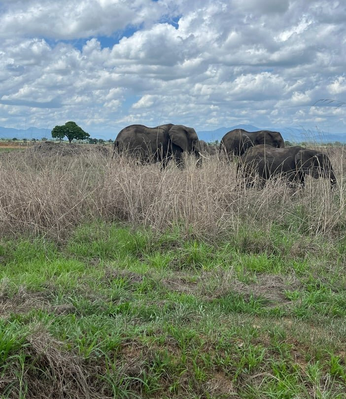 Zanturtle Explore Tours and Safaris-桑给巴尔岛必去景点