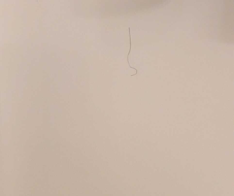 Anderson Ocean Club And Spa主图