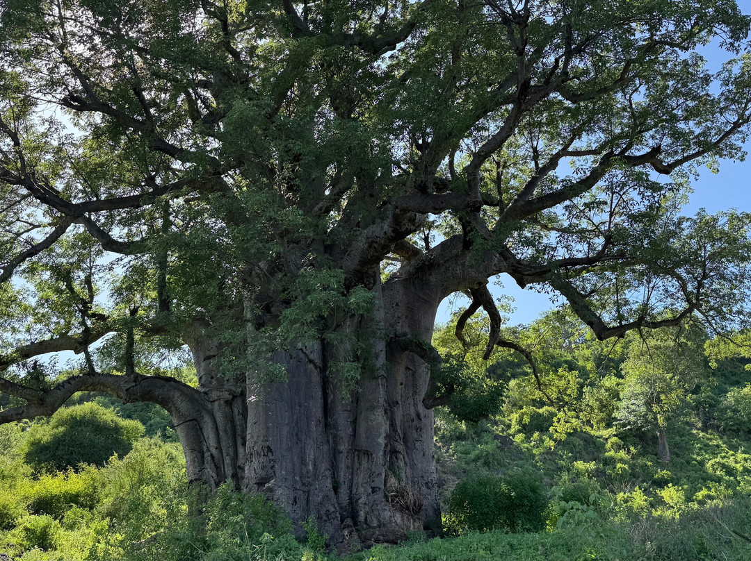 Mto Wa Mbu Cultural Tourism Enterprises-Mto wa Mbu必去景点