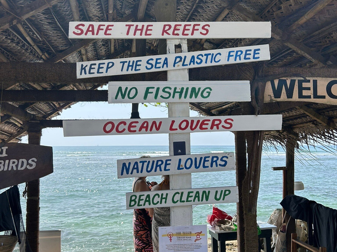 Turtle Bay Activities-瓦勒迦玛必去景点