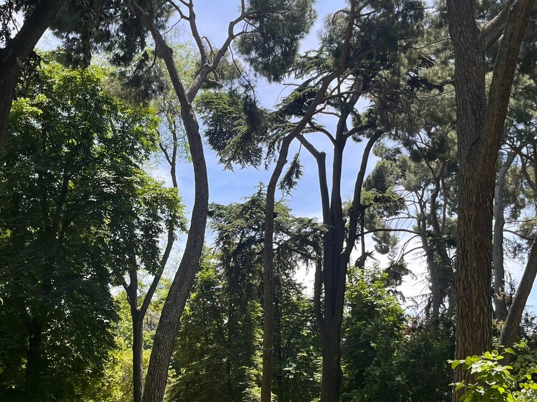 Parque El Lago-佩雷拉必去景点