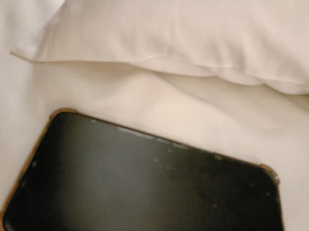 梳邦帝国酒店主图