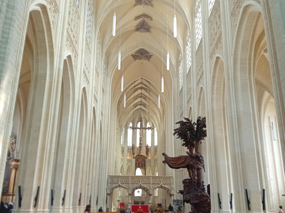 Saint Peter's Church (Sint-Pieterskerk)-鲁汶必去景点