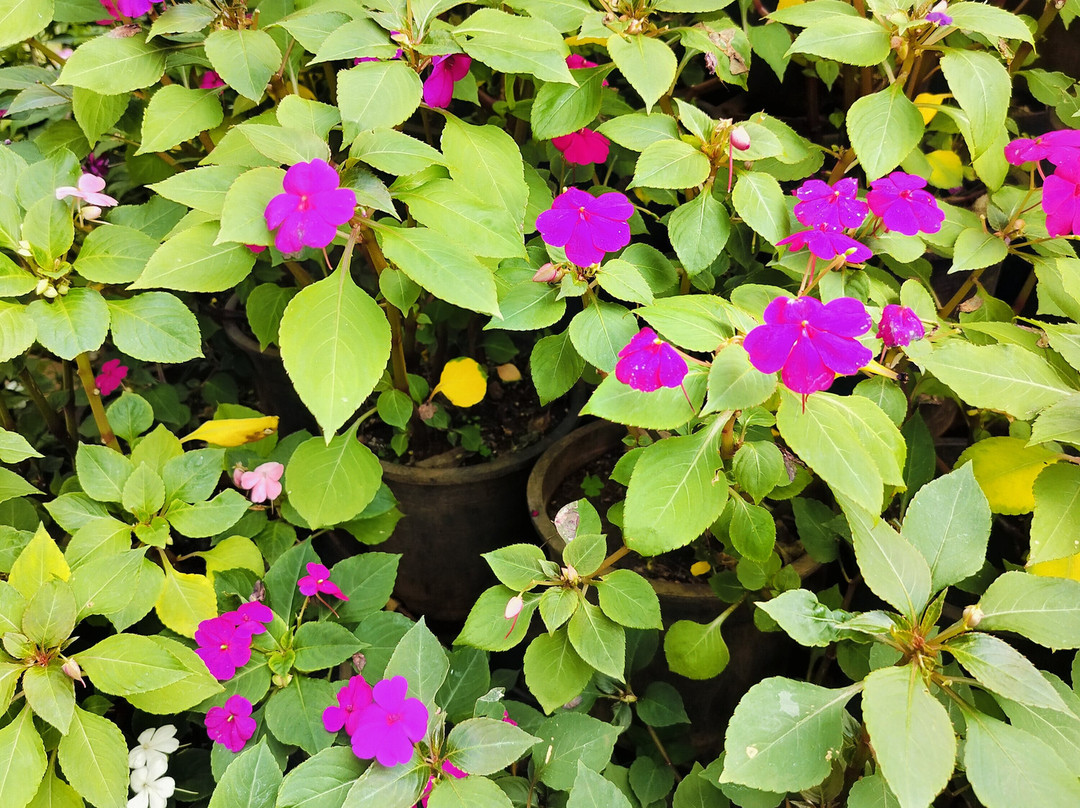 Hotel Amora Premium主图