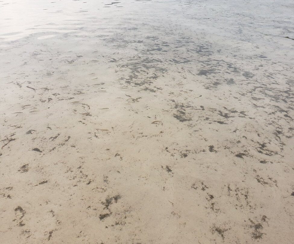 Lagoa da Serra-Rio da Conceicao必去景点