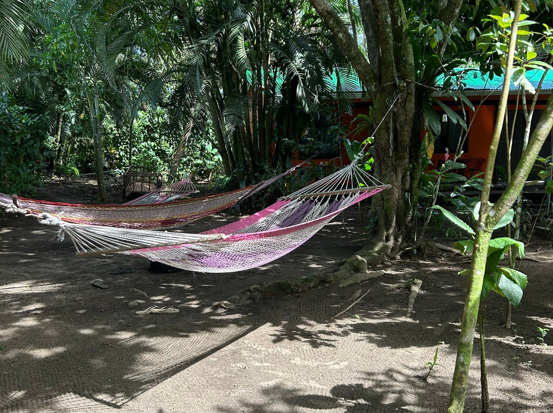 Aracari Garden Hostel主图