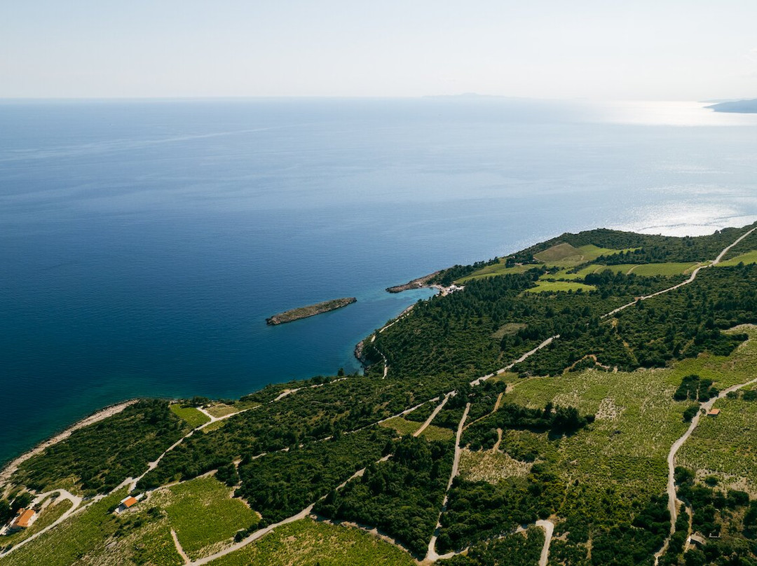 Boutique Winery Vicelić-Pijavicino必去景点