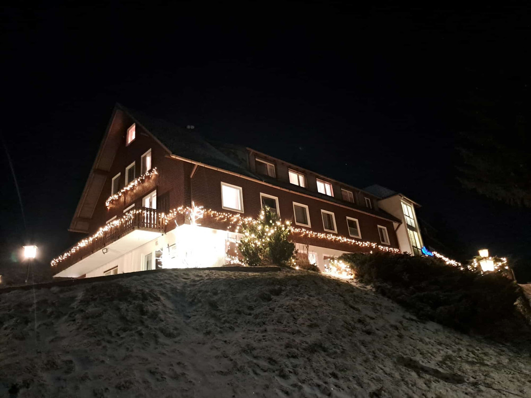 戴安娜酒店主图