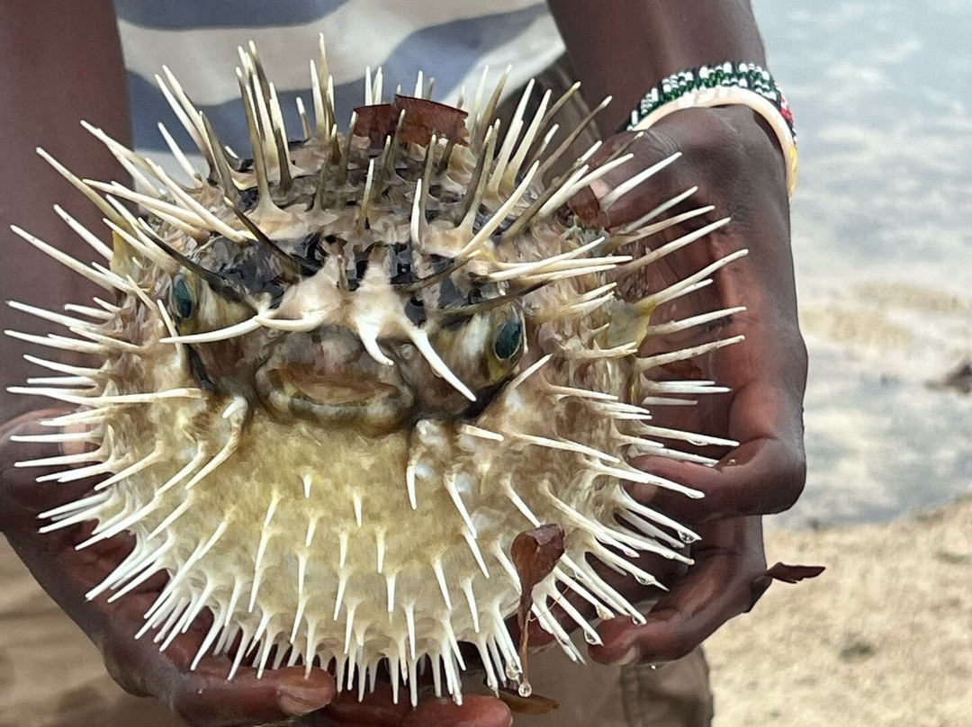 Safarisana-瓦塔木必去景点