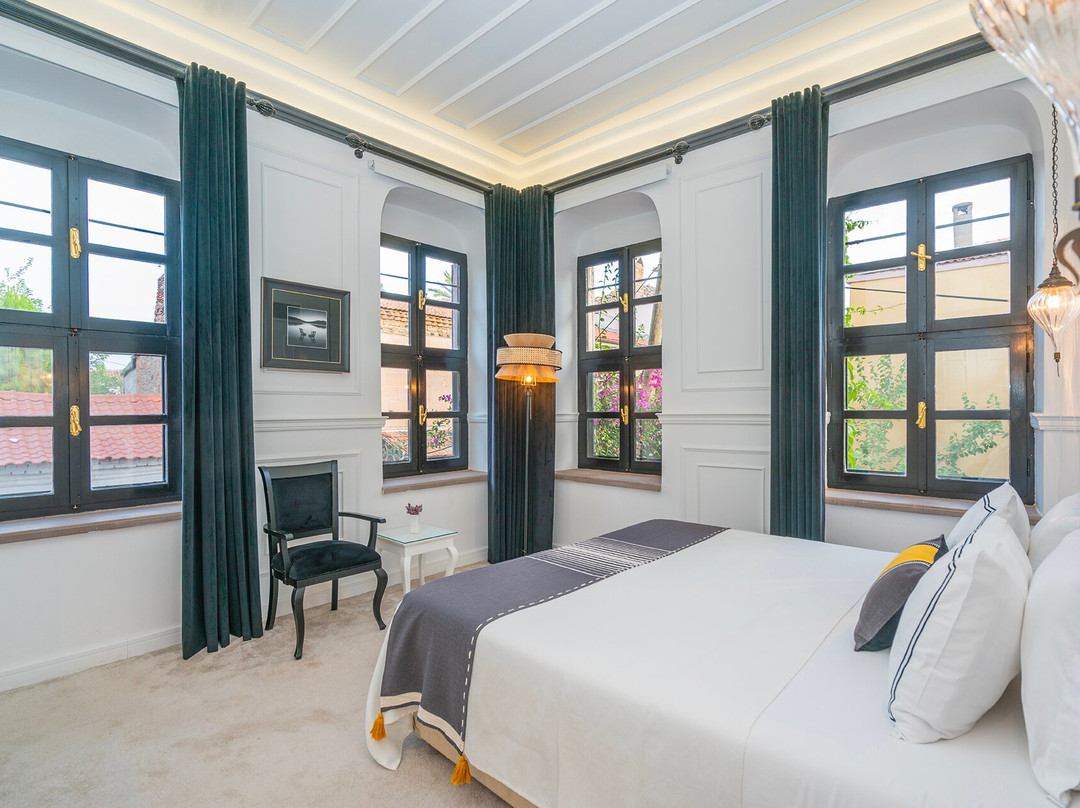 Siyah Lale Cunda 1841主图