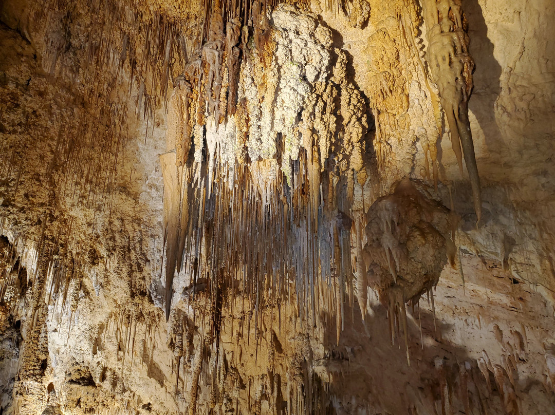 Winsome Transport-Warwick Parish必去景点