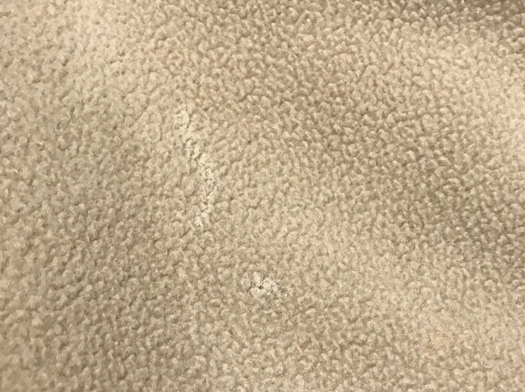 Scottish Inns White Settlement主图