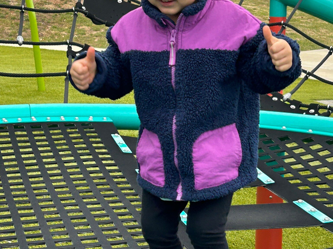 Henslee Park-Dickson必去景点