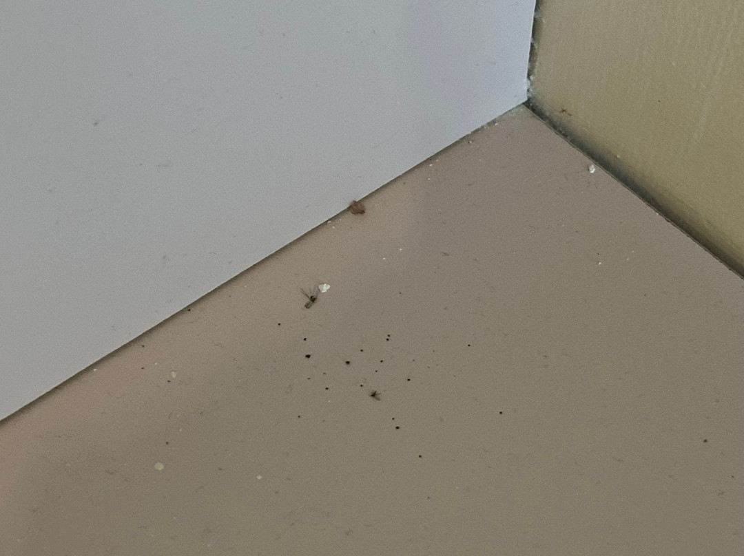 Comfort Inn Bishops Lodge主图