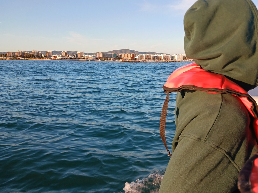 ODYSSEY - Ria Formosa Boat Tours景点图片