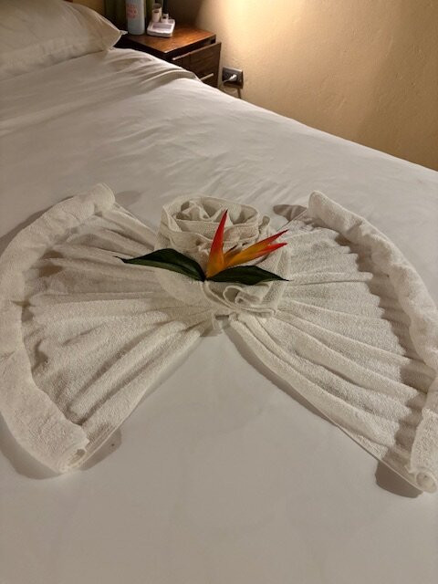 Essence Arenal Hotel, Biofarm & Spa主图