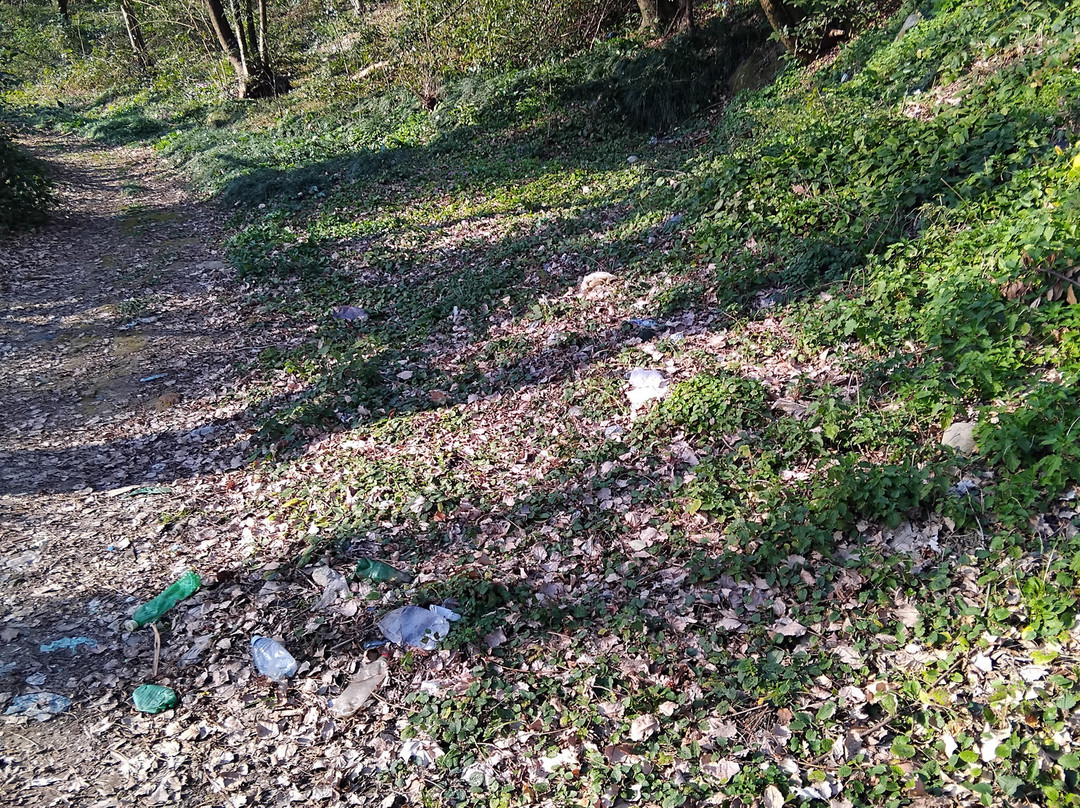 Kutaisi Botanical Garden-库塔伊西必去景点
