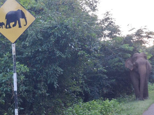 Hai Sri Lanka Tours-科伦坡必去景点