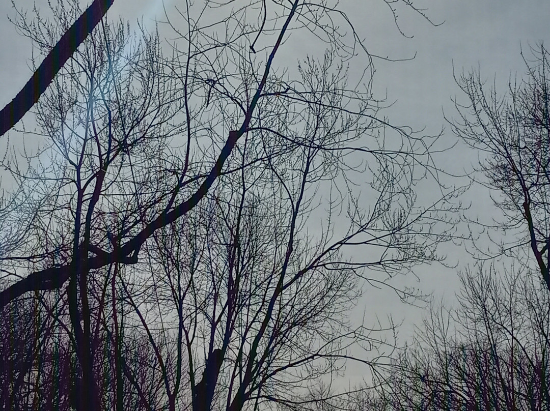 Houghton's Pond-Milton必去景点